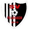 SVFeldbach